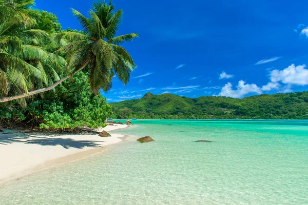 Anse Fache Paradise Beach Seychelles Mahe — стоковое фото