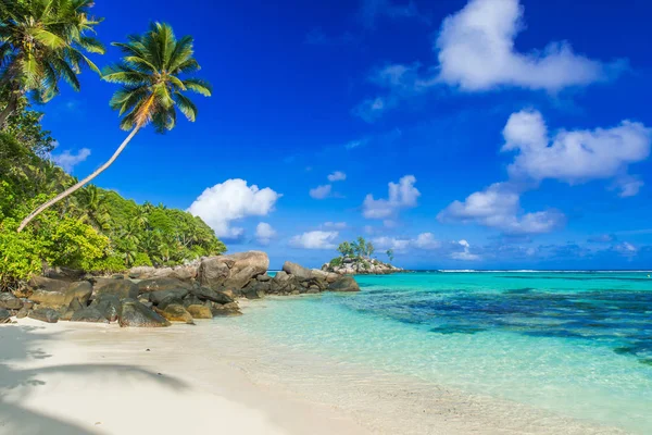 Prachtig Strand Anse Aux Pins Mahe Seychellen — Stockfoto