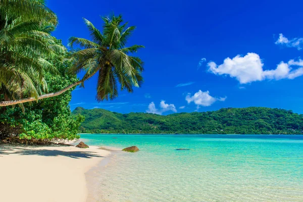 Anse Een Mouche Paradijs Strand Mahe Seychellen — Stockfoto