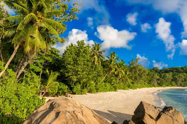 Anse Soleil Paradiesischer Strand Auf Tropischer Insel Mahé — Stockfoto