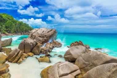 Anse Patates - La Digue, Seyşeller 'deki tropikal plaj
