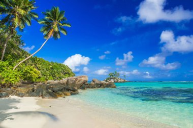 Güzel sahil - Anse aux Pins - Mahe, Seyşeller