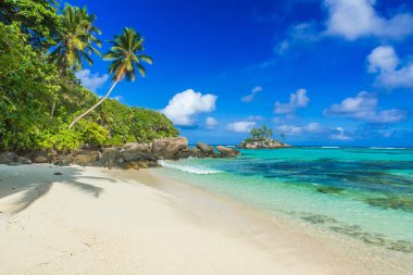 Güzel sahil - Anse aux Pins - Mahe, Seyşeller