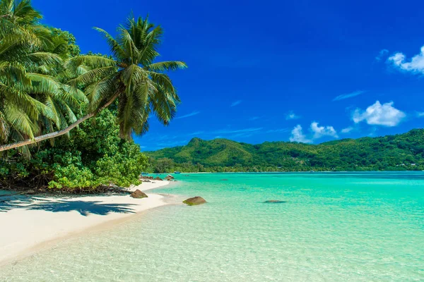 Anse Mouche Paraíso Praia Seychelles Mahe — Fotografia de Stock