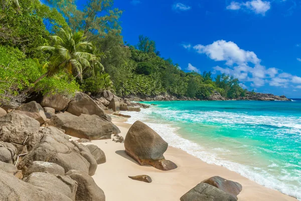 Vackra Stranden Mahe Seychellerna — Stockfoto