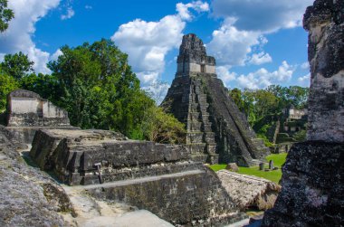 Tikal - Maya Harabeleri yağmur ormanlarında Guatemala
