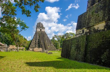 Tikal - Maya Harabeleri yağmur ormanlarında Guatemala