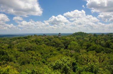 Guatemala yeşil tropikal yağmur ormanları