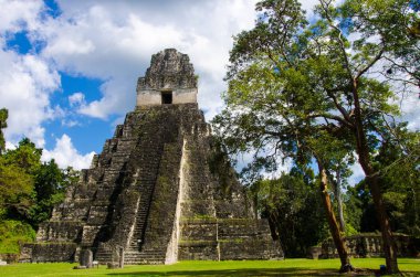Tikal - Maya Harabeleri yağmur ormanlarında Guatemala