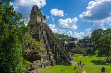 Tikal - Maya Harabeleri yağmur ormanlarında Guatemala
