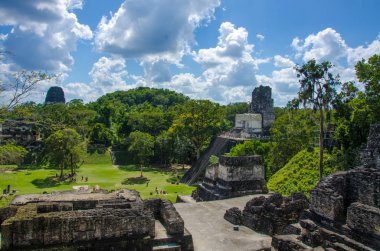 Tikal - Maya Harabeleri yağmur ormanlarında Guatemala