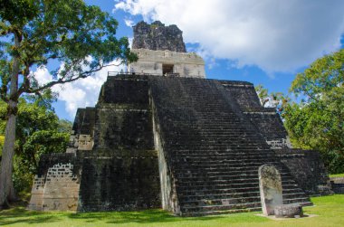 Tikal - Maya Harabeleri yağmur ormanlarında Guatemala