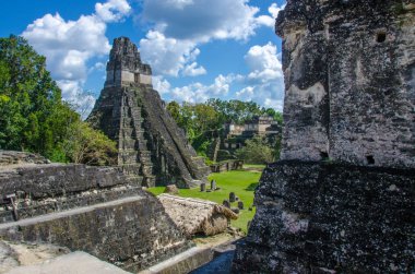Tikal - Maya Harabeleri yağmur ormanlarında Guatemala