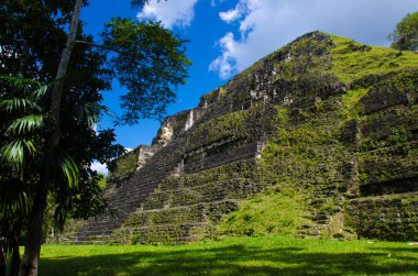 Tikal - Maya Harabeleri yağmur ormanlarında Guatemala