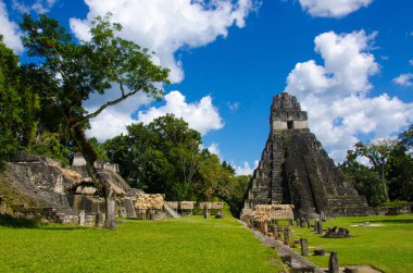 Tikal - Maya Harabeleri yağmur ormanlarında Guatemala