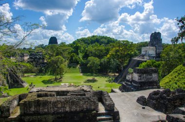 Tikal - Maya Harabeleri yağmur ormanlarında Guatemala