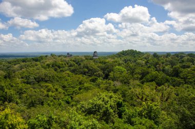Guatemala yeşil tropikal yağmur ormanları