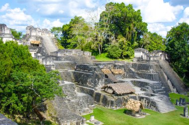 Tikal - Maya Harabeleri yağmur ormanlarında Guatemala