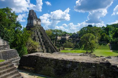 Tikal - Maya Harabeleri yağmur ormanlarında Guatemala