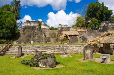 Tikal - Maya Harabeleri yağmur ormanlarında Guatemala