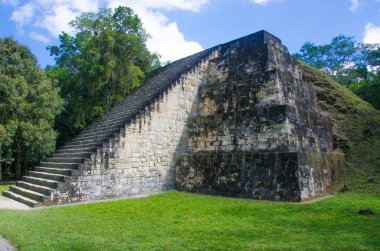 Tikal - Maya Ruins in the rainforest of Guatemala clipart