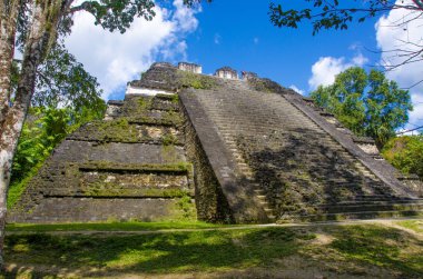 Tikal - Maya Harabeleri yağmur ormanlarında Guatemala