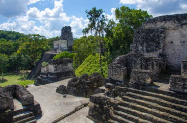 Tikal - Maya Harabeleri yağmur ormanlarında Guatemala