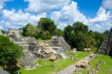 Tikal - Maya Harabeleri yağmur ormanlarında Guatemala