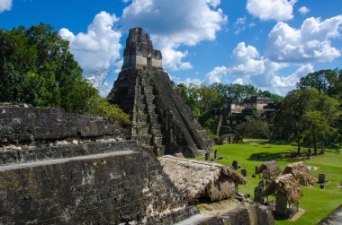 Tikal - Maya Harabeleri yağmur ormanlarında Guatemala