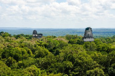 Guatemala yeşil tropikal yağmur ormanları