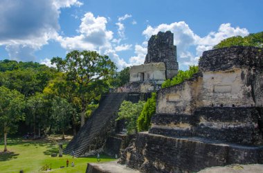 Tikal - Maya Harabeleri yağmur ormanlarında Guatemala