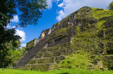 Tikal - Maya Harabeleri yağmur ormanlarında Guatemala