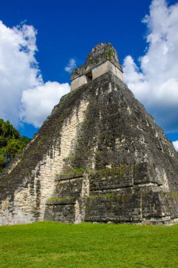 Tikal - Maya Harabeleri yağmur ormanlarında Guatemala