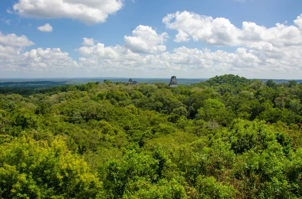 Guatemala yeşil tropikal yağmur ormanları