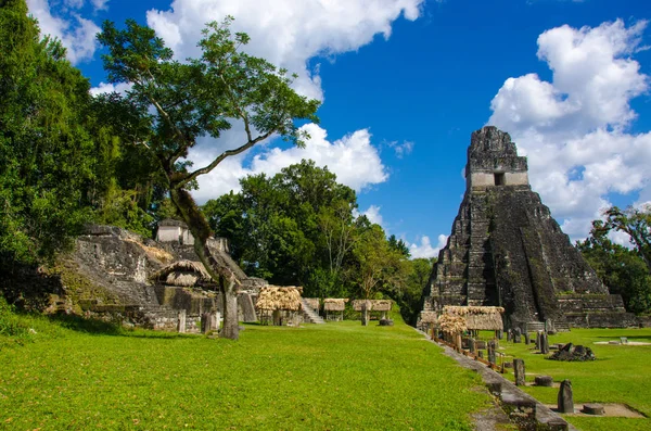 Tikal - Maya Harabeleri yağmur ormanlarında Guatemala
