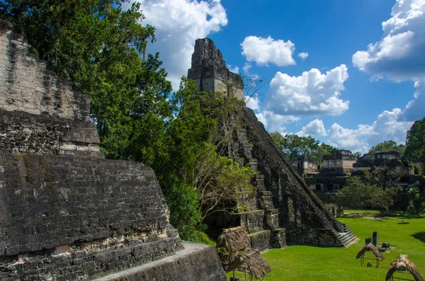 Tikal Maya Ruinen Regenwald Von Guatemala — Stockfoto