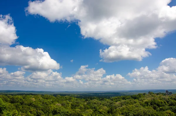 Guatemala yeşil tropikal yağmur ormanları