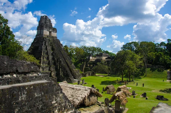 Tikal Maya Ruínas Floresta Tropical Guatemala — Fotografia de Stock