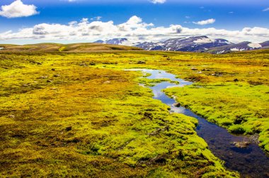 Landmannalaugar - İzlanda manzara şaşırtıcı