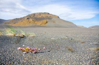 Landmannalaugar - İzlanda manzara şaşırtıcı