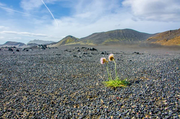 Landmannalaugar - İzlanda manzara şaşırtıcı