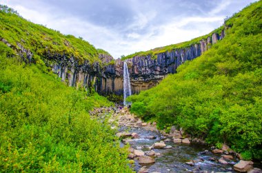 İzlanda'daki Svartifoss güzel şelale