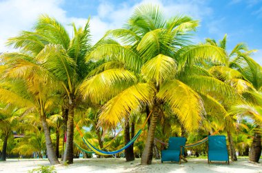 Güney Su Caye Belize - küçük Karayip Cennet Adası tropik beach tatil ve dinlenme için ile