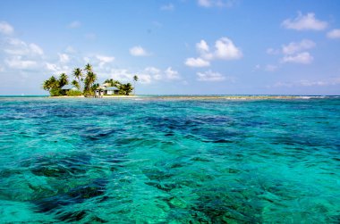 Tropikal ve cennet küçük ada, Karayip Denizi, Belize - Orta Amerika