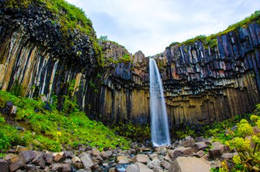 İzlanda'daki Svartifoss güzel şelale