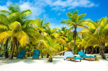 Güney Su Caye Belize - küçük Karayip Cennet Adası tropik beach tatil ve dinlenme için ile