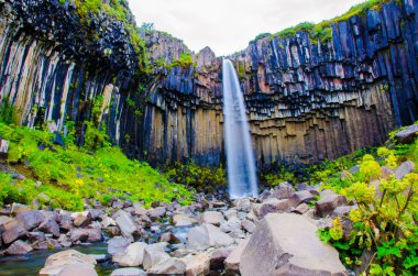 İzlanda'daki Svartifoss güzel şelale