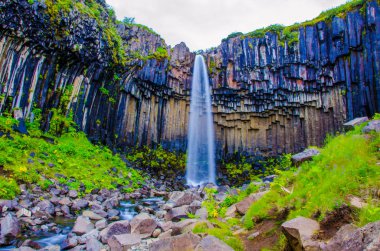 İzlanda'daki Svartifoss güzel şelale