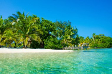 Güney Su Caye Belize - küçük Karayip Cennet Adası tropik beach tatil ve dinlenme için ile