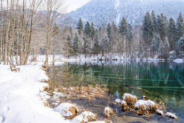 Trettach valley yakınındaki oberstdorf, Almanya pastoral Güney Bavyera yatay, kışın göl Christlessee